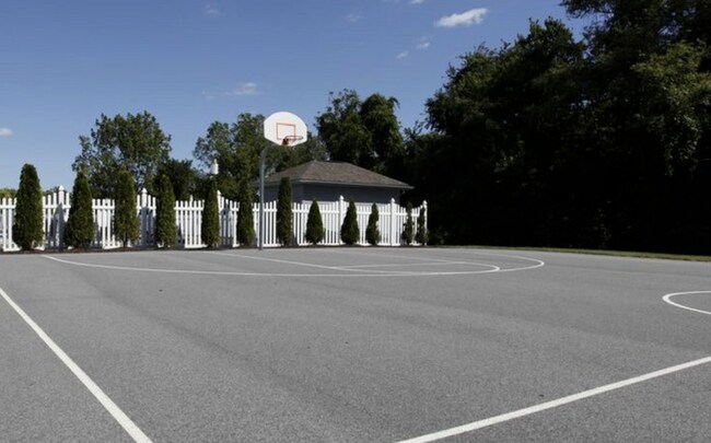 Basketball court - 2390 Mill Rd