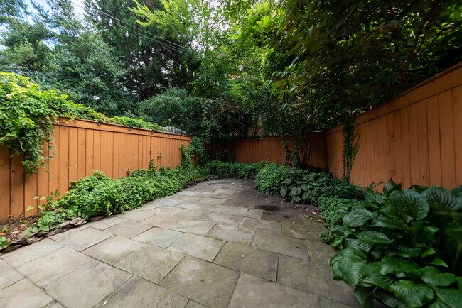Backyard - 1617 13th St NW