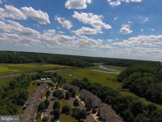 Building Photo - 8000 Delores Ct