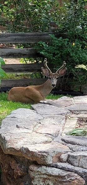Building Photo - 1512 S Yank St
