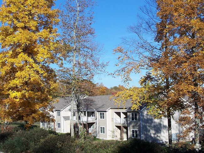 Building - Ivy Woods