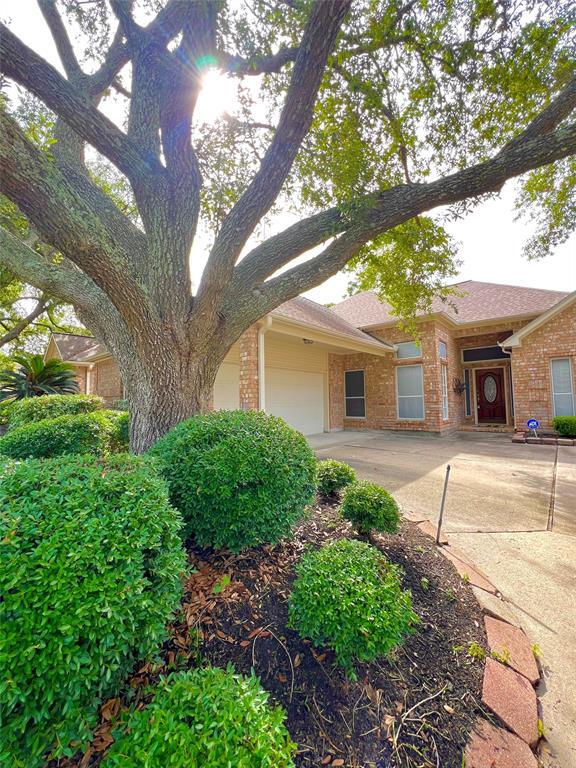 Primary Photo - 4306 Shady Pine Dr