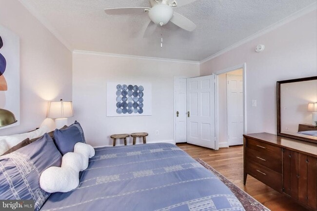 Building Photo - 1365 Kennedy St NW