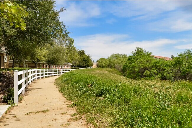 Walking trails in preserve - 31407 Taylor Ln