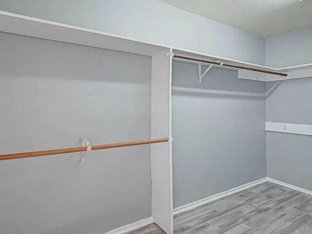 Building Photo - 3610 Vineyard Dr