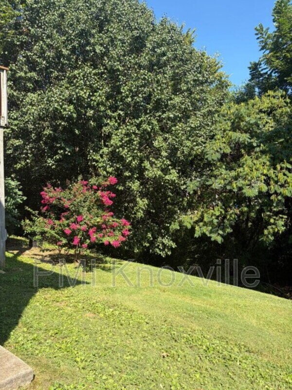 Building Photo - 4136 Larigo Dr