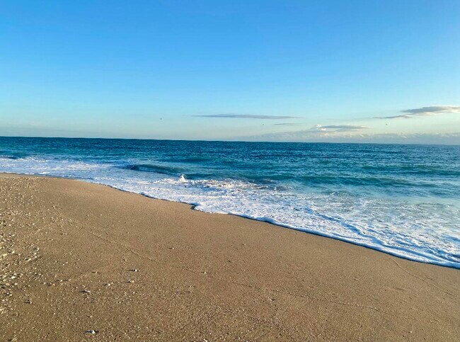 Building Photo - 206 Osprey Preserve Blvd