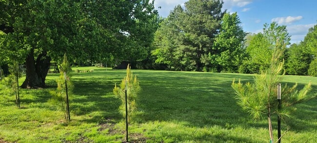 Building Photo - COMING SOON!  Lone Oak Cottage - 2 bedrm 1 bath Available - May 10th