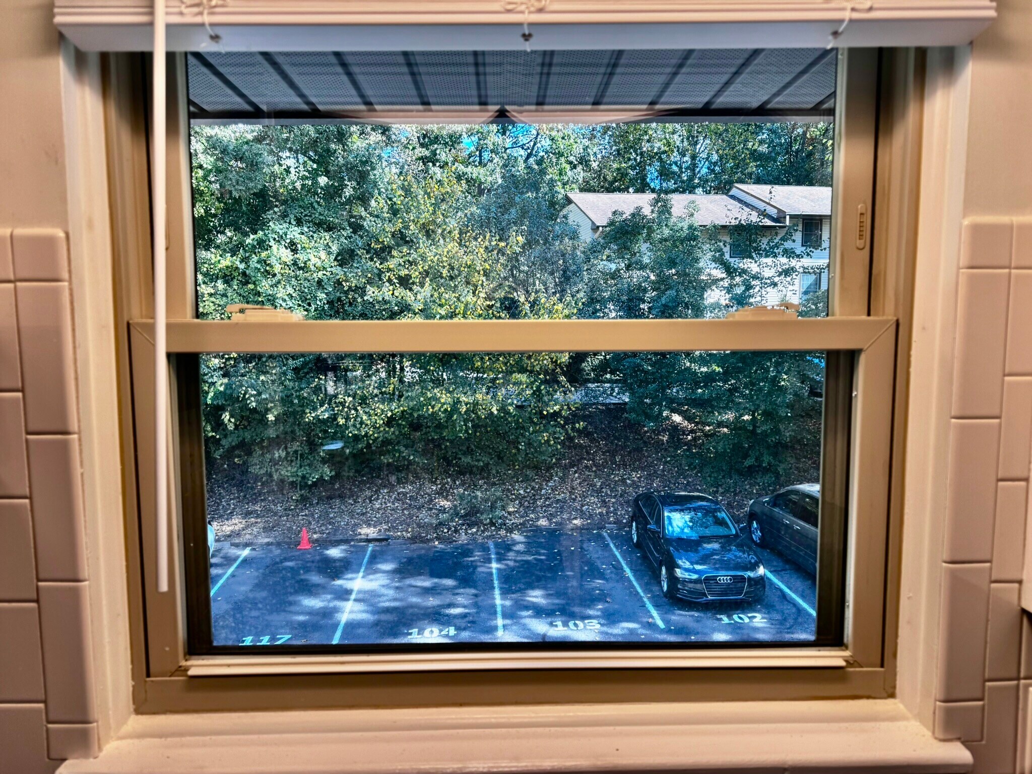 Window view (has blinds) - 122 Turnwood Ln