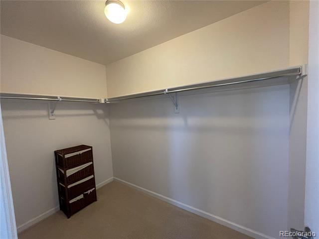 Building Photo - 1584 Castle Creek Cir