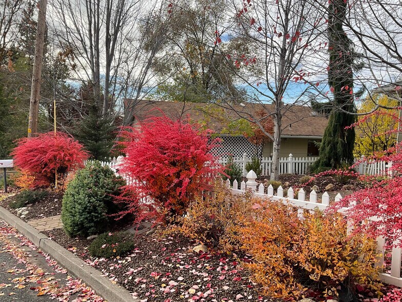 Beautiful neighborhood All year - 418 N Laguna St