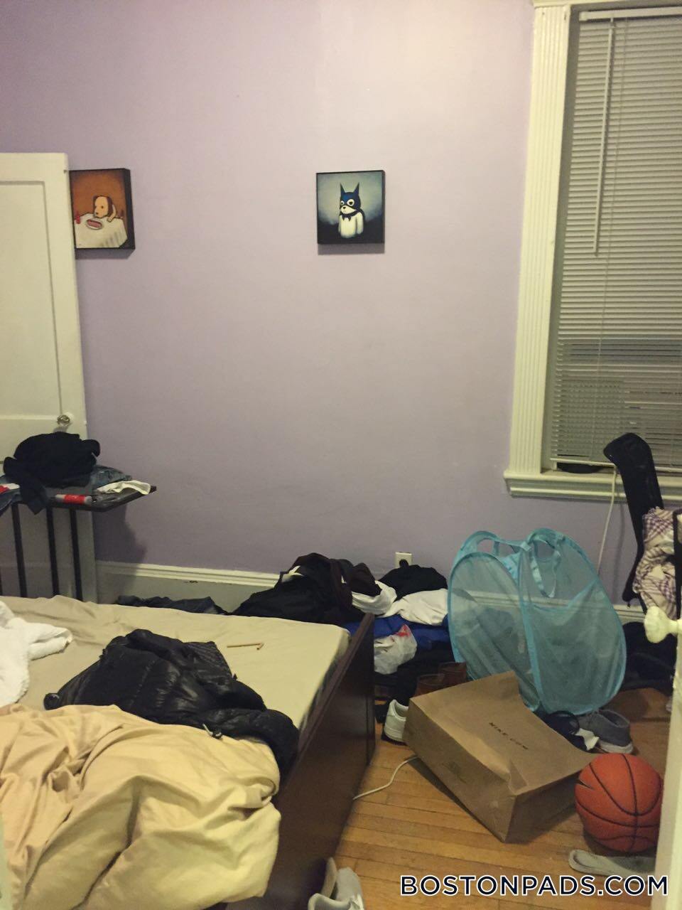 Building Photo - 447 Park Dr