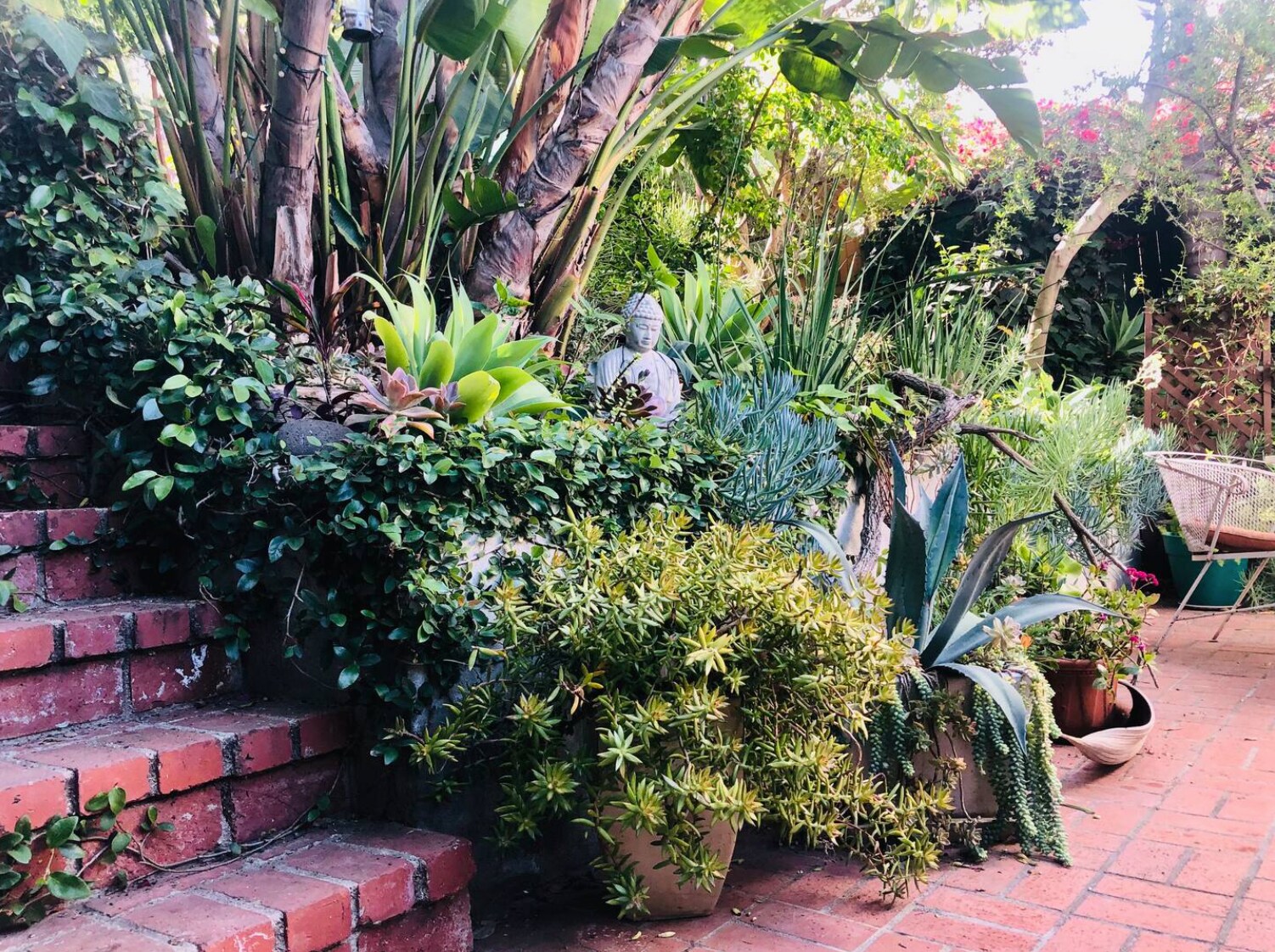 Garden - 2528 Panorama Ter