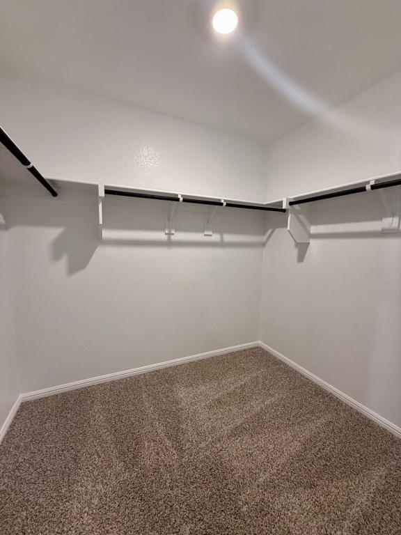 Building Photo - 421 Blanco Dr