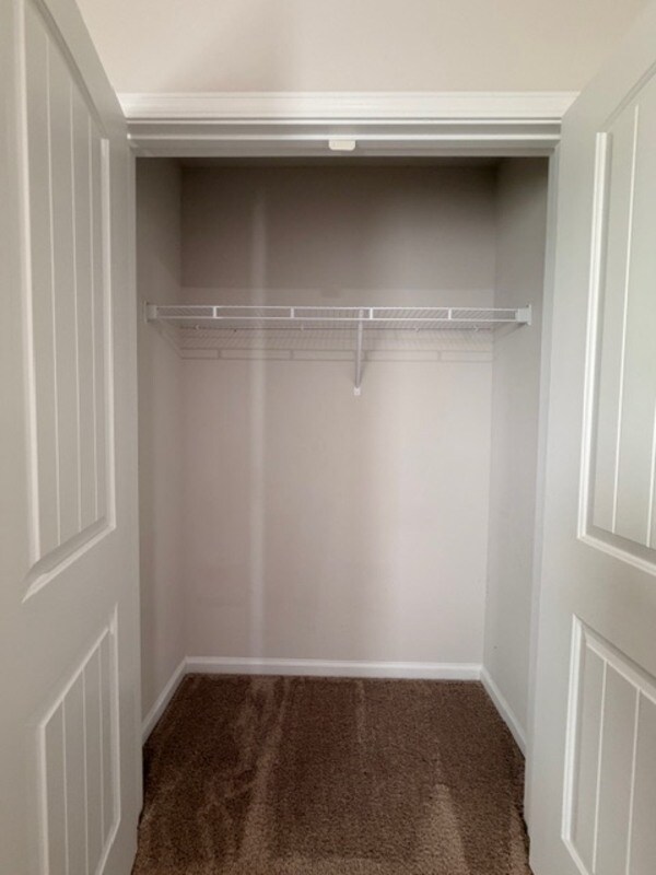 Building Photo - 925 Turkey Berry Ln