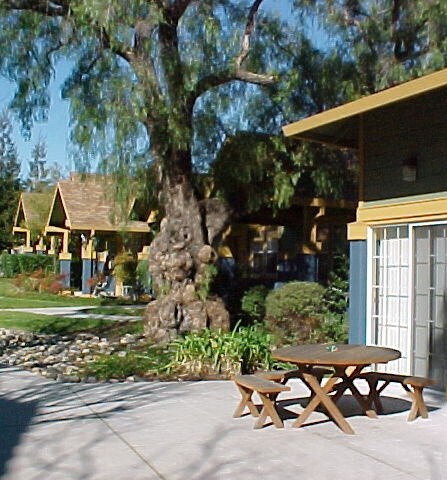 Building Photo - Milagro Independent Living
