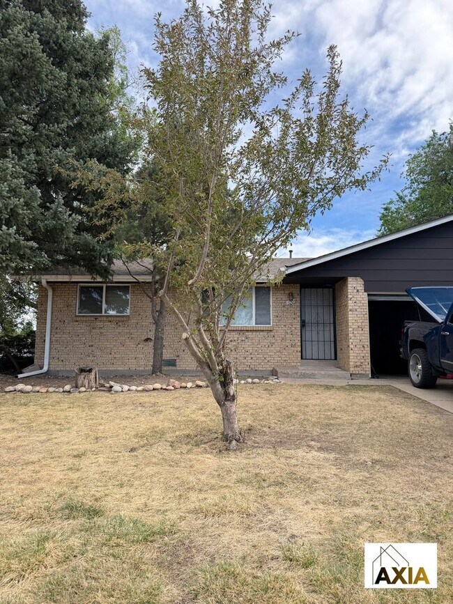 Building Photo - 11004-08