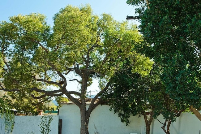 Building Photo - 128 S Brighton St