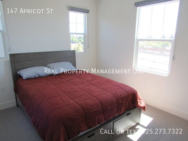 Building Photo - 147 Apricot St