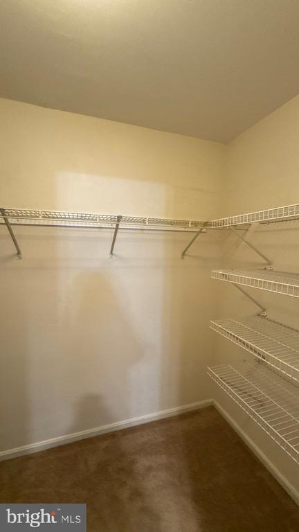 Building Photo - 2 Fallen Tree Ct