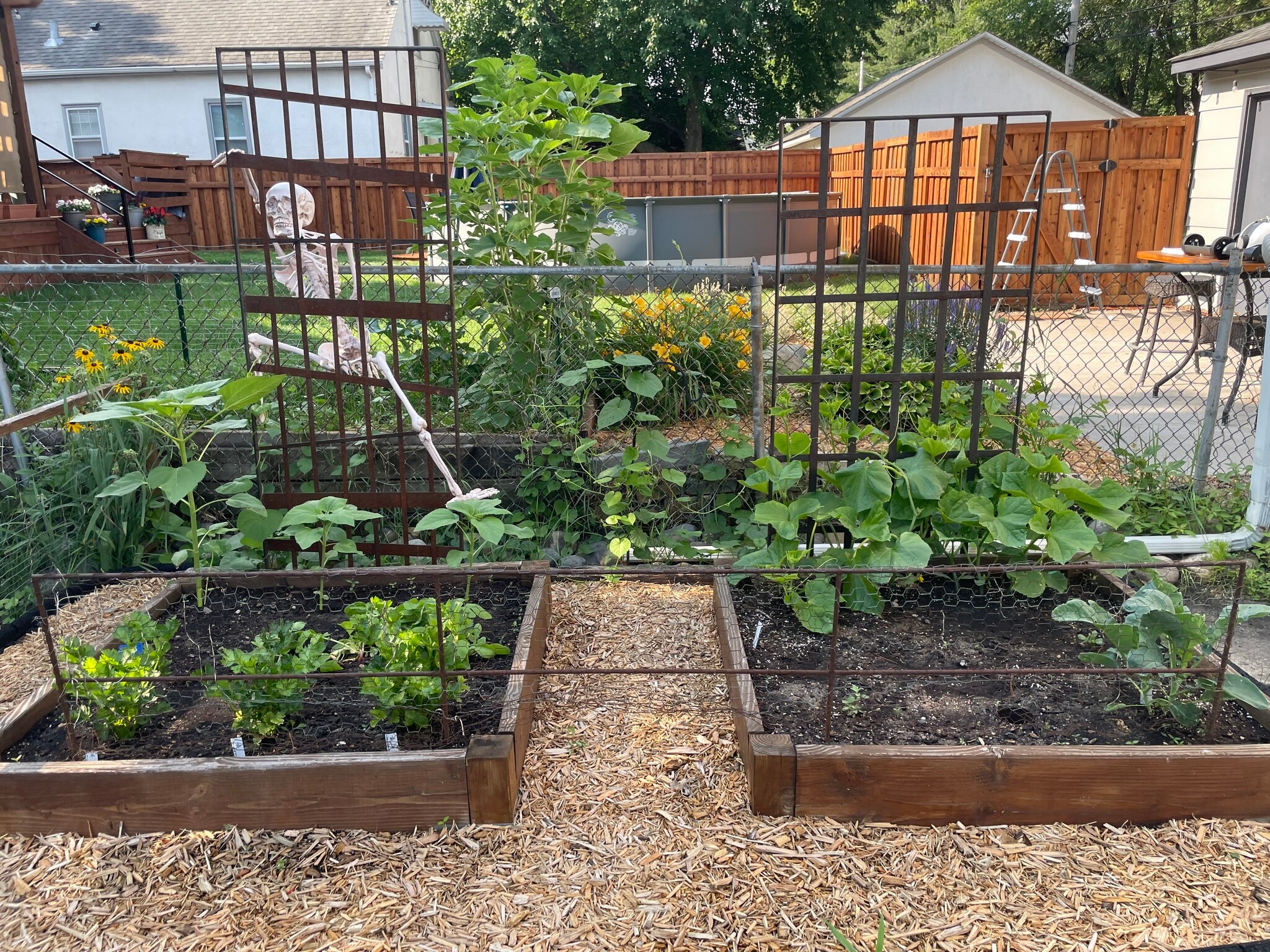 Garden boxes - 1628 California St NE