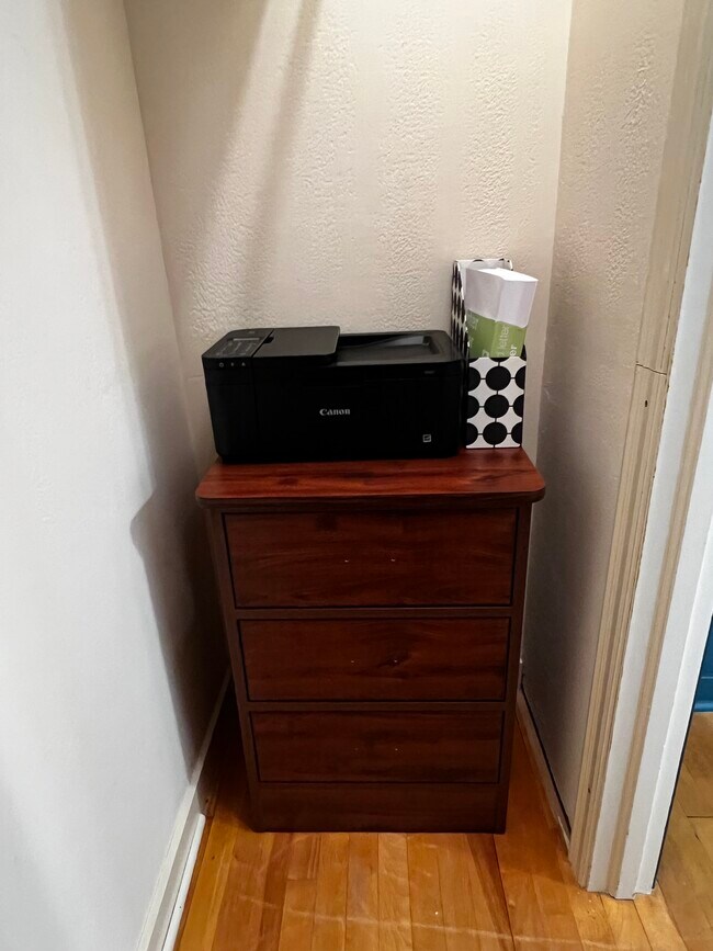 The middle bedroom closet has a small dresser and a wireless printer - 228 W Lexington Blvd