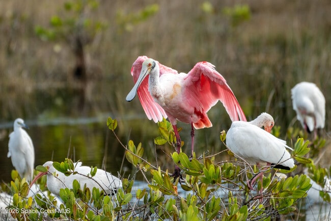 Building Photo - 1715 N Merrimac Dr