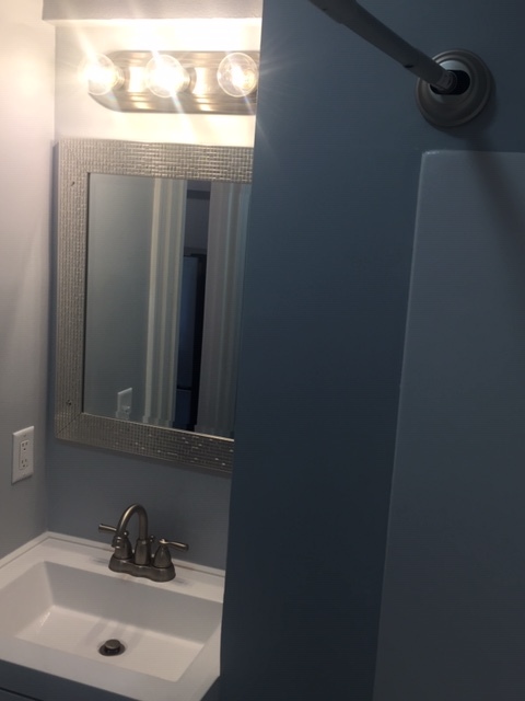 The Bathroom has good lighting above the sink - 3819 Gallatin Pike