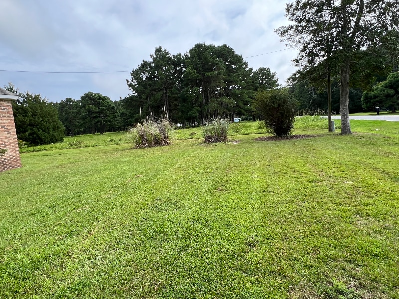 Building Photo - 1119 Aydlett Rd
