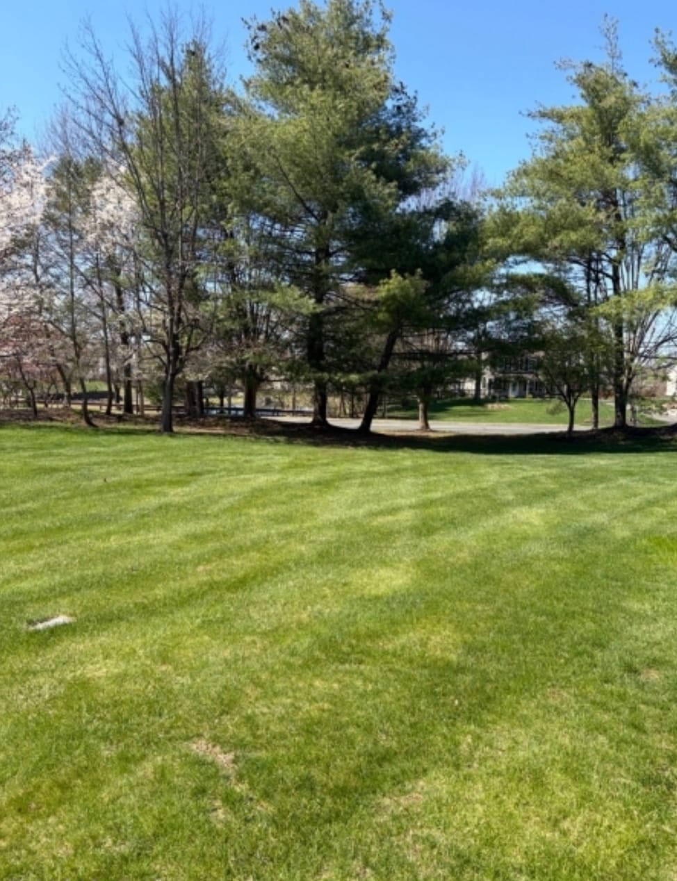 Building Photo - 204 Red Crest Ln