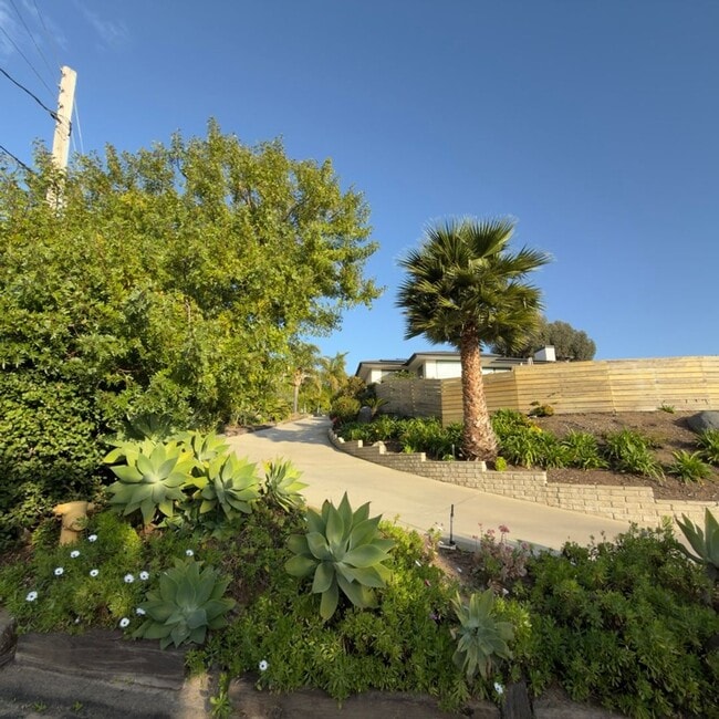 Building Photo - Cozy 1 bedroom in Encinitas!