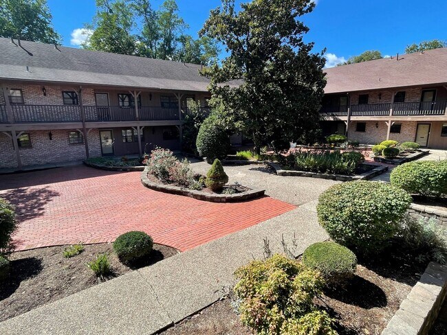 Building Photo - Charming Clifton Condo!