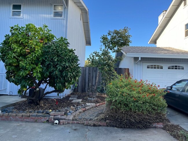 Building Photo - New Price $2,100.00 South Davis Townhome On Veranda Terrace,  3+1.5, Garage, Small backyard, Frui...