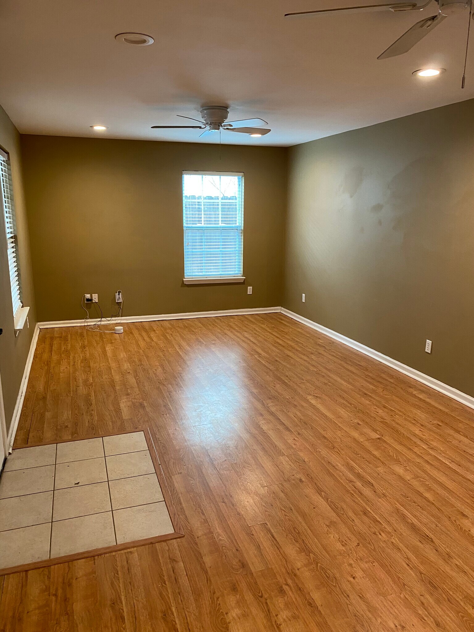 Living room - 4521 Merle Dr