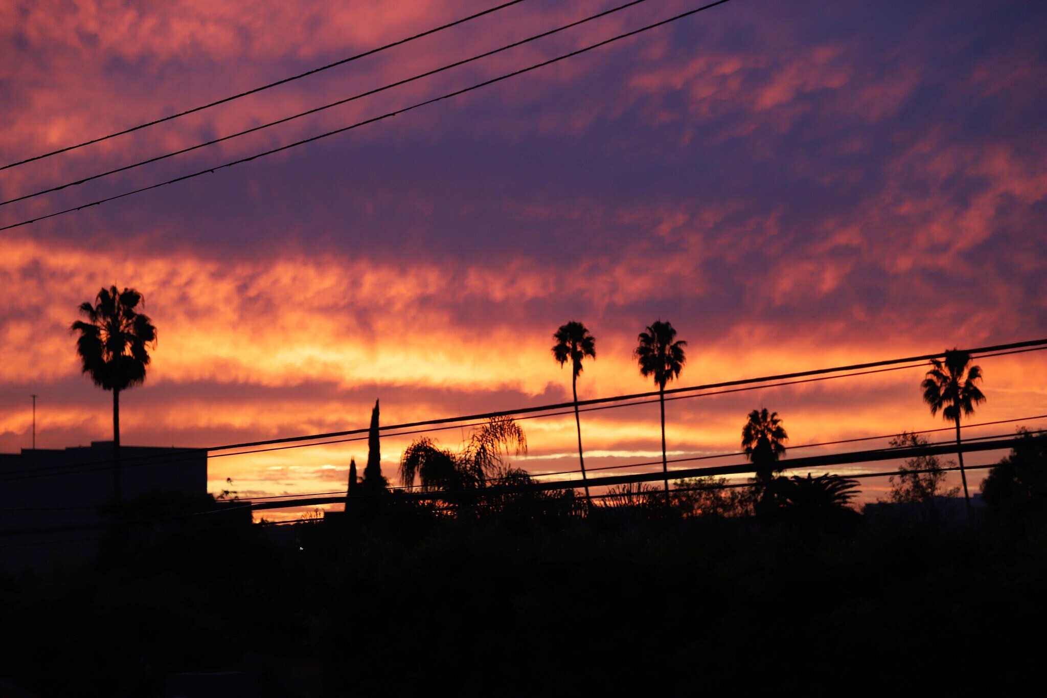 Building Photo - 831 Alandele Ave