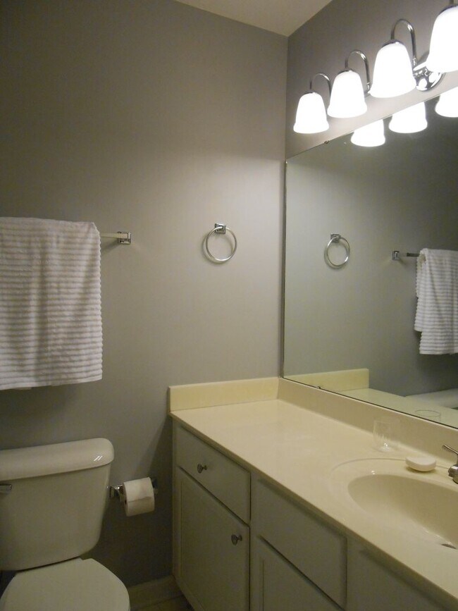 Building Photo - Beautifully Updated Townhome in Prime Carrboro Location – Walk to Downtown & Weaver Street Market