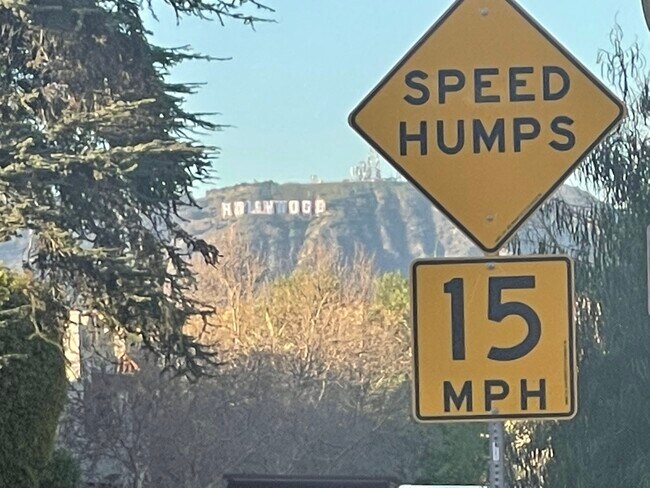 Really zoomed photo - 401 N Norton Ave