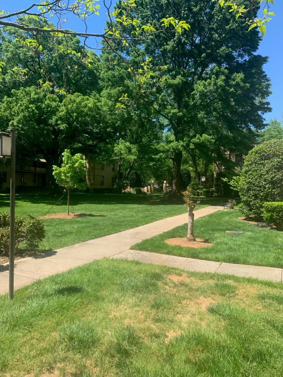 courtyard - west view - 1121 Myrtle Ave