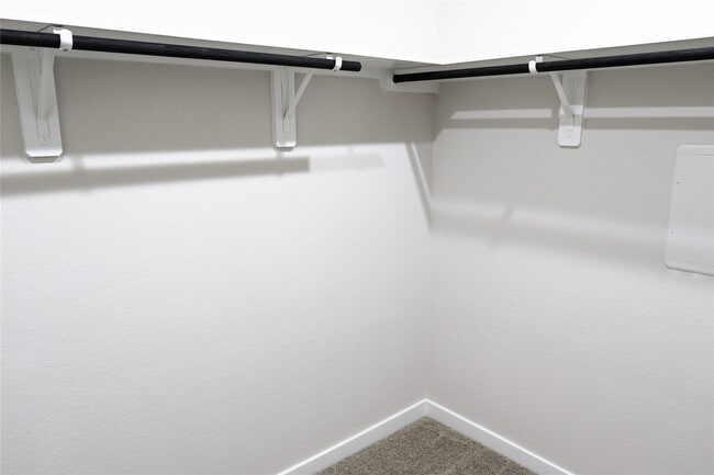 Building Photo - 247 Brazen Forest Trl