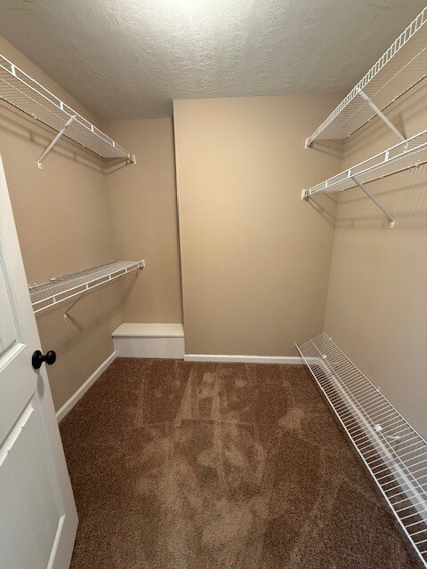 Building Photo - 479 Sebastian Dr