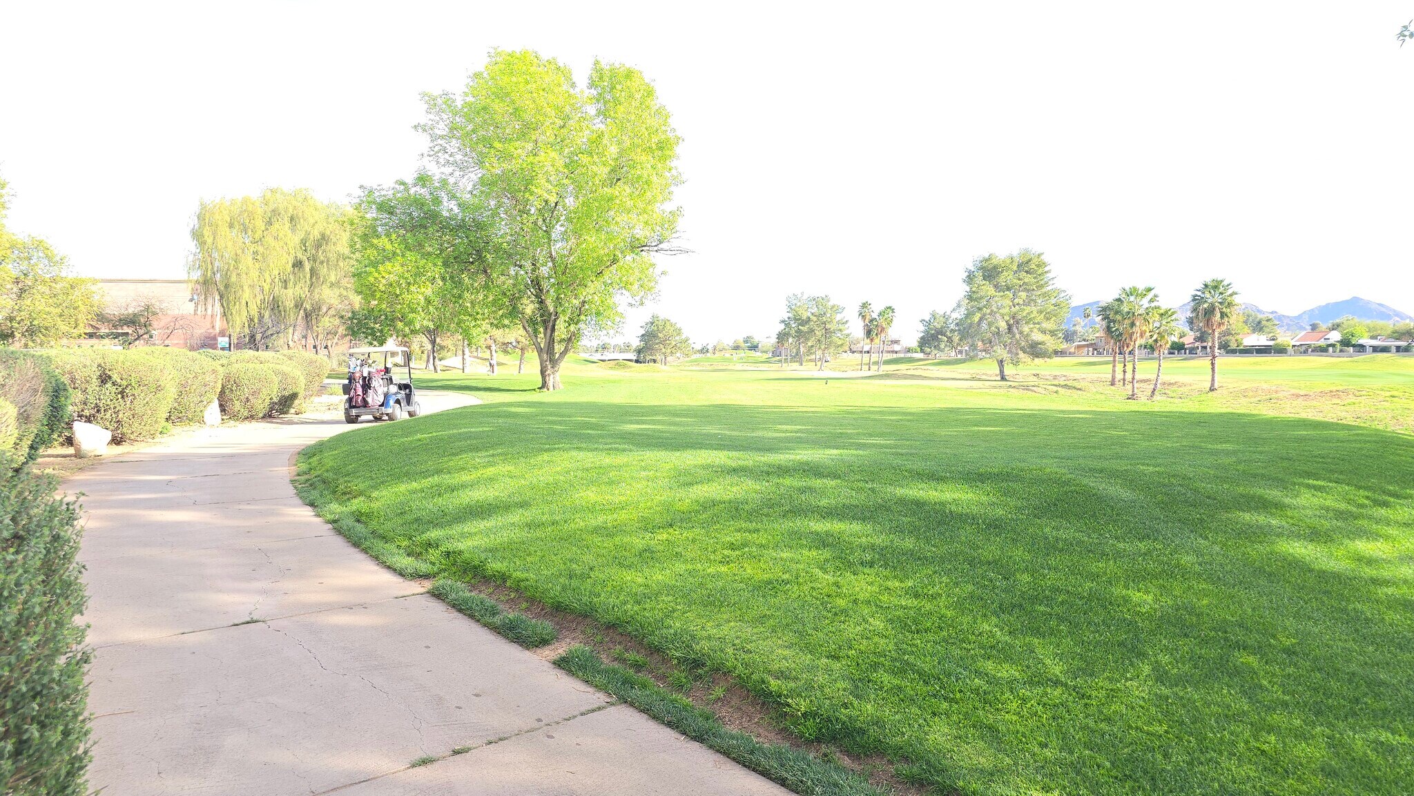 Building Photo - 11640 N Tatum Blvd