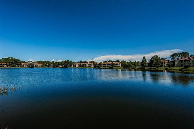 Building Photo - 312 Woodlake Wynde