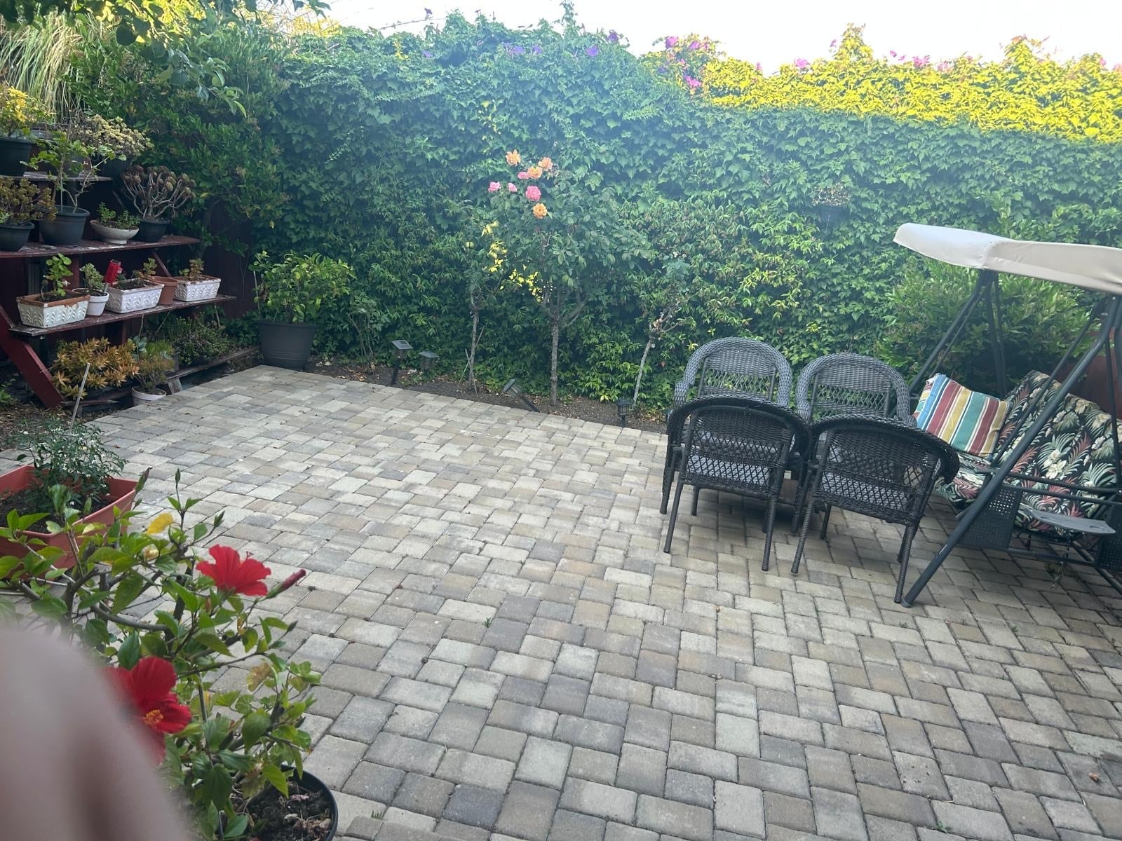 Backyard - 254 Bonita Ln
