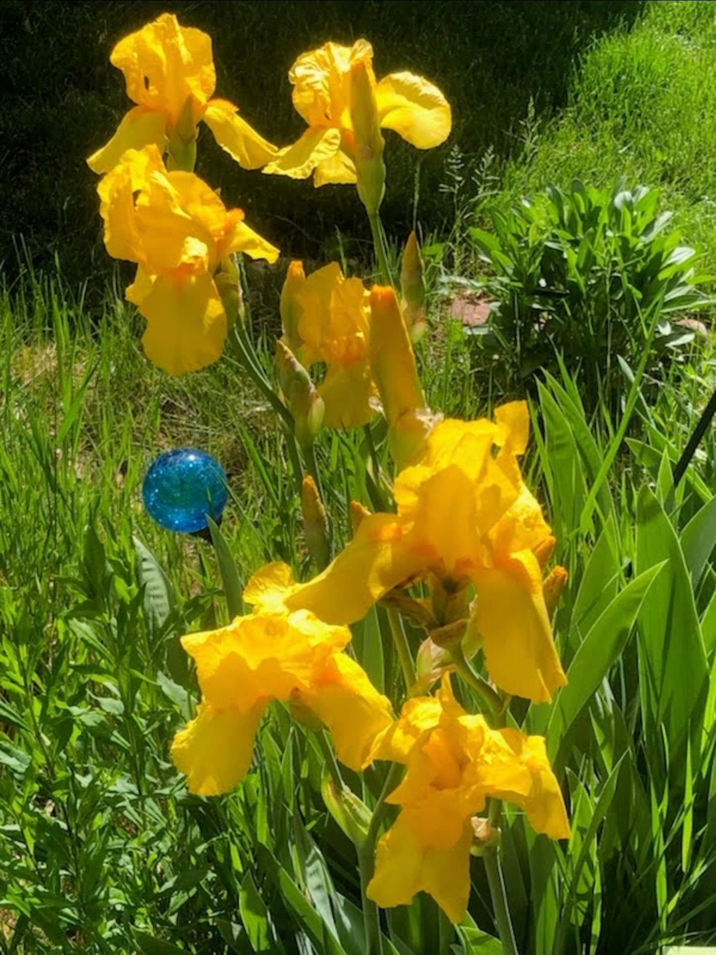 Building Photo - 2934 S Zurich Ct