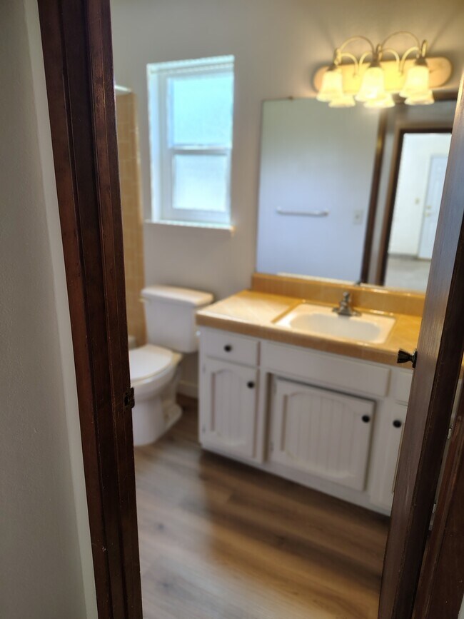 Downstairs Bath - 1100 S Edison St