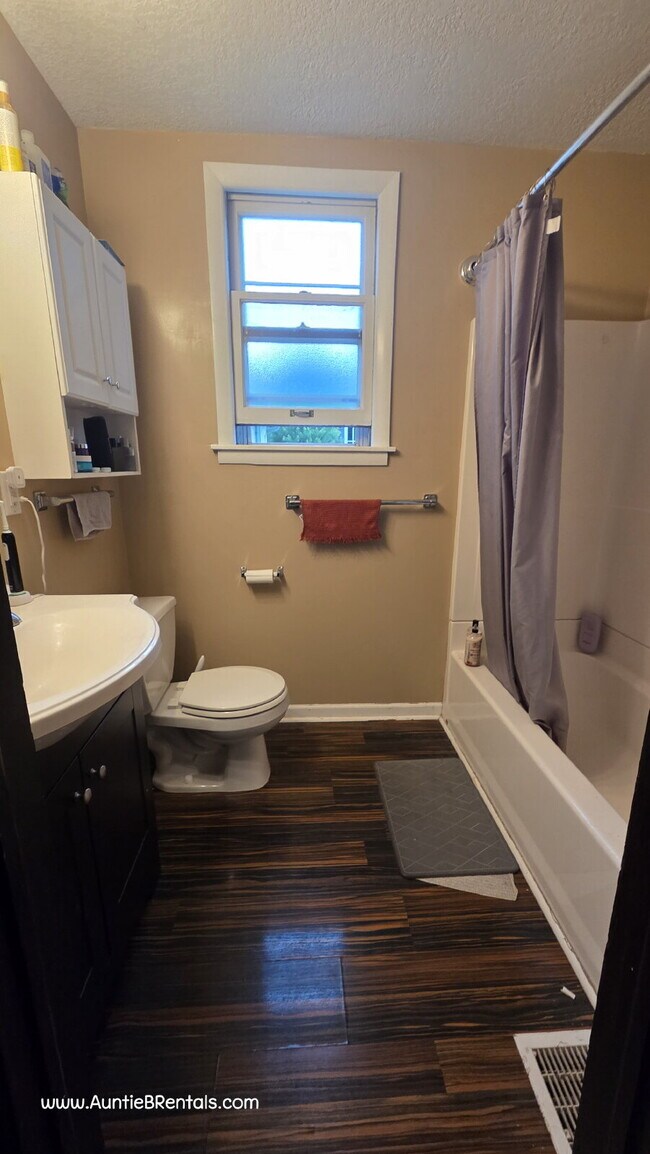 Building Photo - 2BR/1BA Duplex in NE Minneapolis 8/1 move in