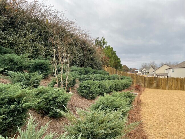 Building Photo - 5320 Austrian Pine Ct