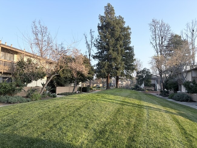 Building Photo - 1975 Olmo Way