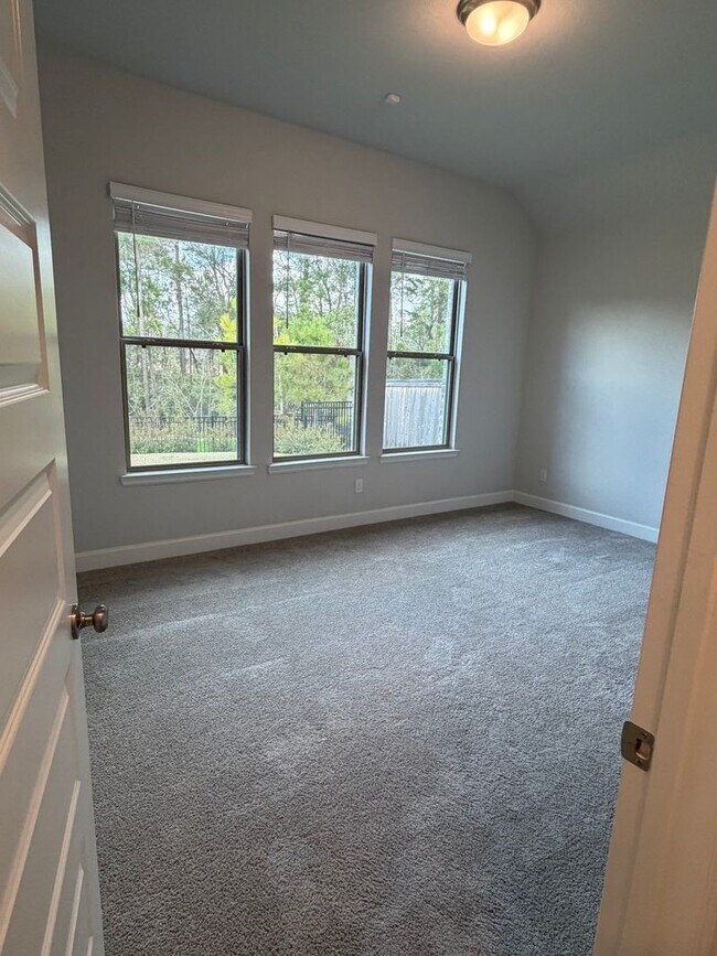 Building Photo - 107 Harlequin Duck Ct