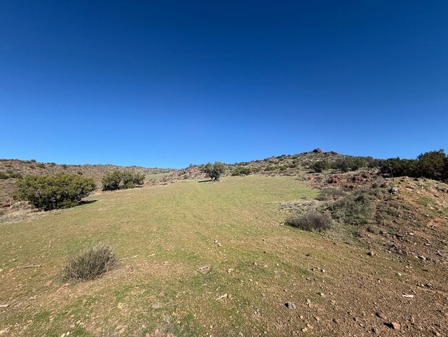 Building Photo - Acton 4 bedroom on Dirt Road